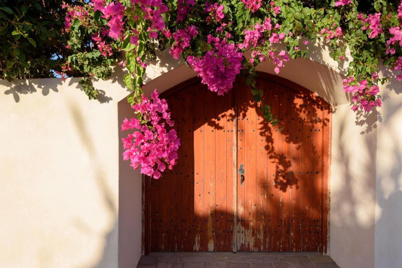 Aquaria Villa Καρτεράδος Εξωτερικό φωτογραφία